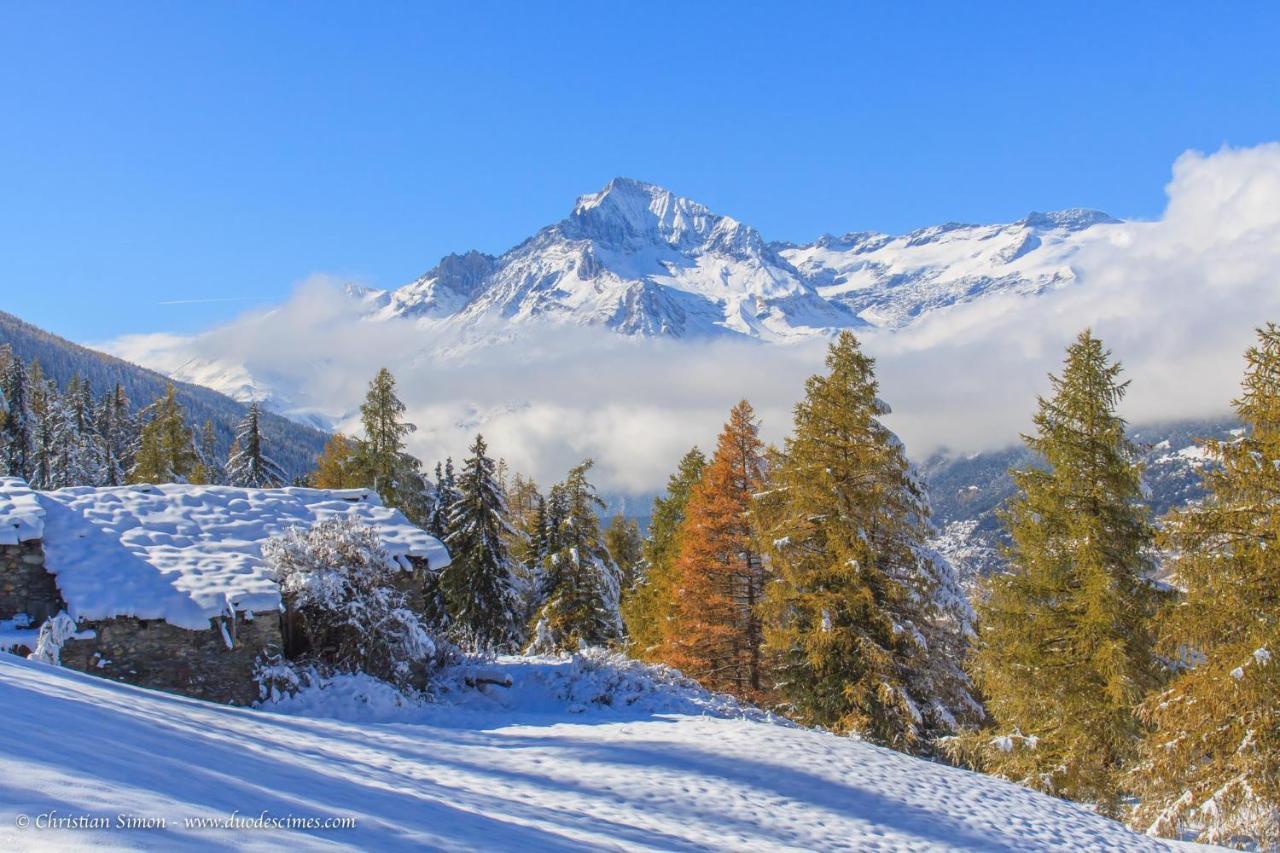 Les Balcons Proche Parc National Vanoise Appartements 2 Pieces 6 Pers Cabine テルミニヨン エクステリア 写真